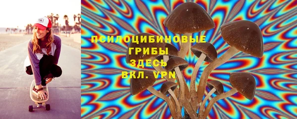 спайс Аркадак