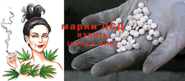 спайс Аркадак